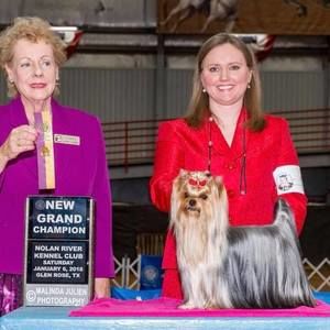 Meet your Posher, Michele